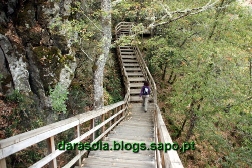 Passarelas_Rio_Mao_29.JPG Passarelas_Rio_Mao_29.JPG