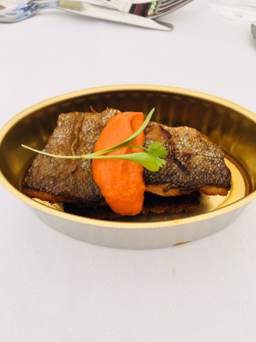 IMG_7851.jpg IMG_7851.jpg