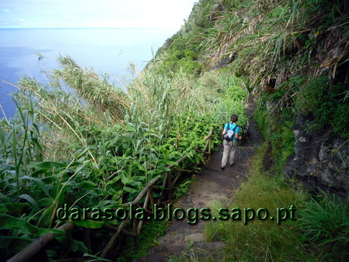 azores_flores_faja_lopo_Vaz_08.JPG azores_flores_faja_lopo_Vaz_08.JPG