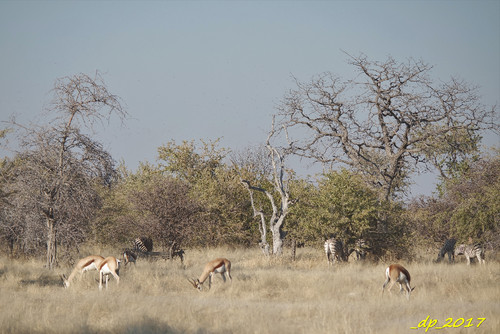 SAM_9595.JPG SAM_9595.JPG