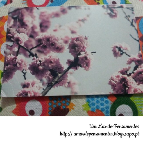 1426896372291.jpg 1426896372291.jpg