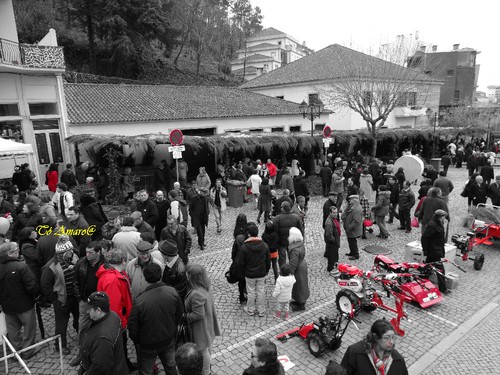 Feira do Queijo Em Seia !!! 228.jpg