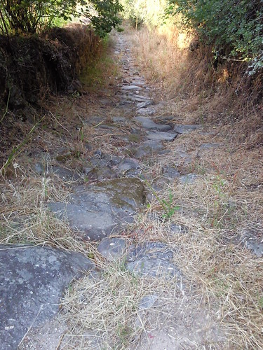 Foto original de D.A.P.L. Junho 2015.jpg