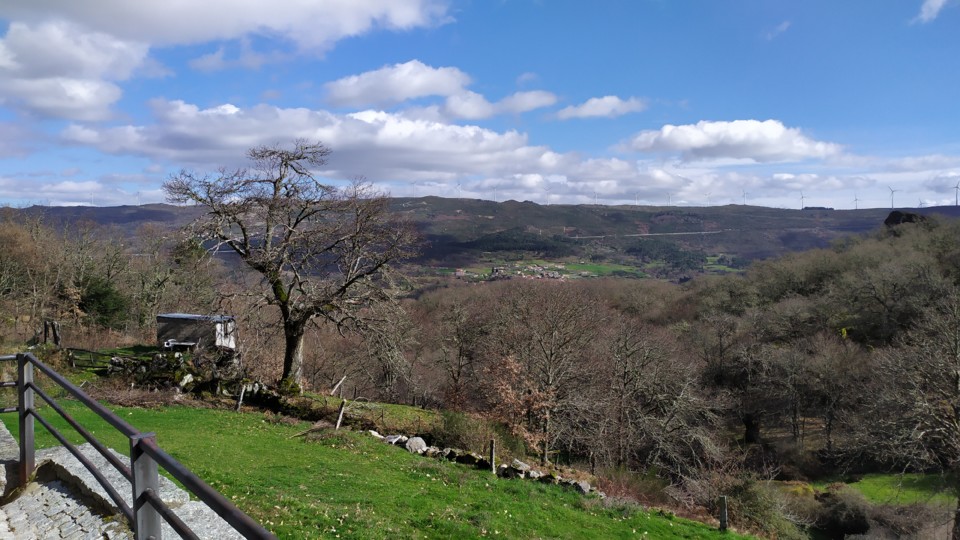 IMG_20200217_134121.jpg IMG_20200217_134121.jpg