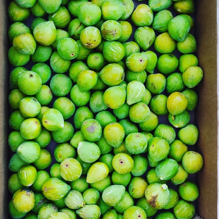 305035993_2399439006862513_6741654608972037112_n.j