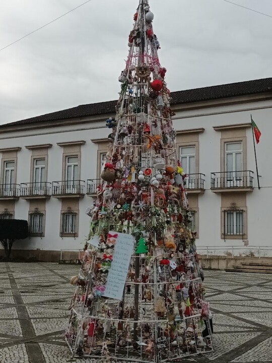 Não me canso disto Natal.jpg