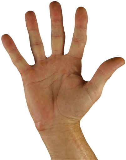 open-hand-png-197796.png