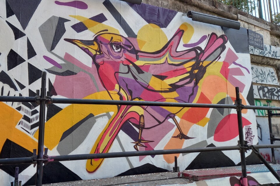 20220724_173550 - Cópiaa.jpg