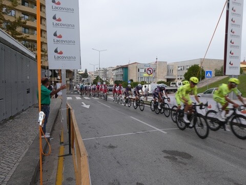 19c_GP_Anicolor_OAz (29).JPG