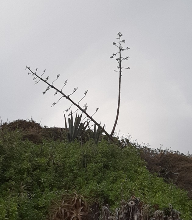 20190806_200622.jpg 20190806_200622.jpg