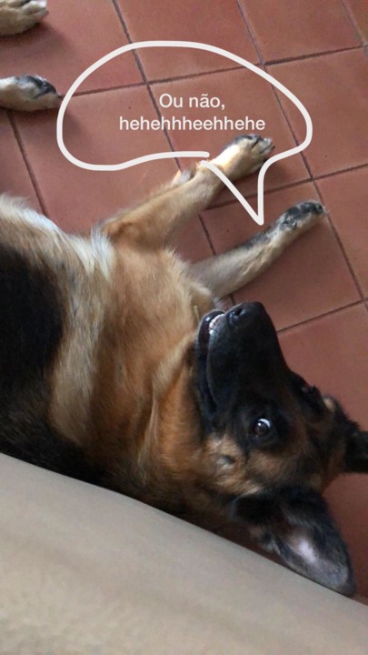 IMG-20190821-WA0001.jpg IMG-20190821-WA0001.jpg