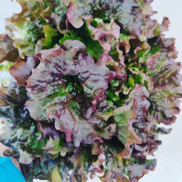 273769349_2236211529851929_8460751241552916668_n.j