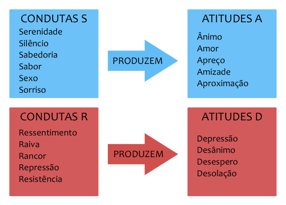 condutas.jpg condutas.jpg