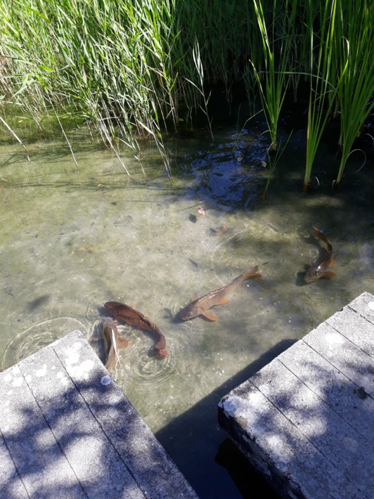 20200524_103344.jpg 20200524_103344.jpg