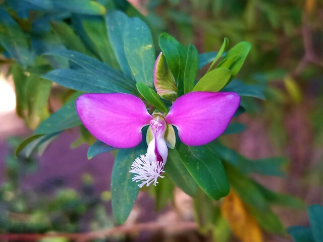 336873568_199131339418599_5485763179480467102_n.jp