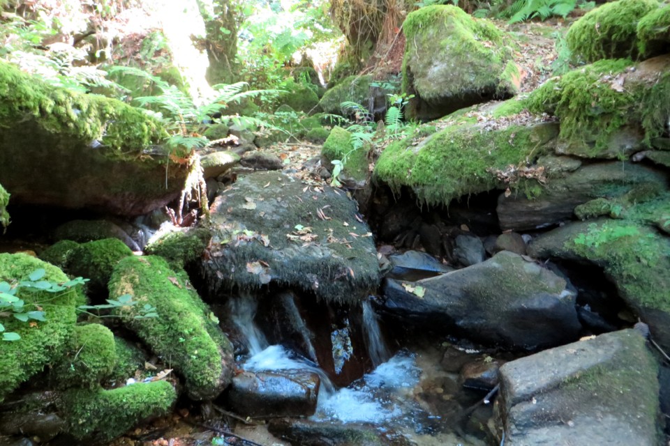 IMG_3139.JPG IMG_3139.JPG