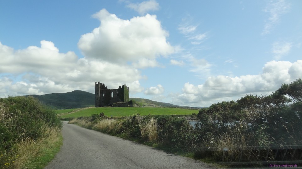 DSC07088.JPG DSC07088.JPG