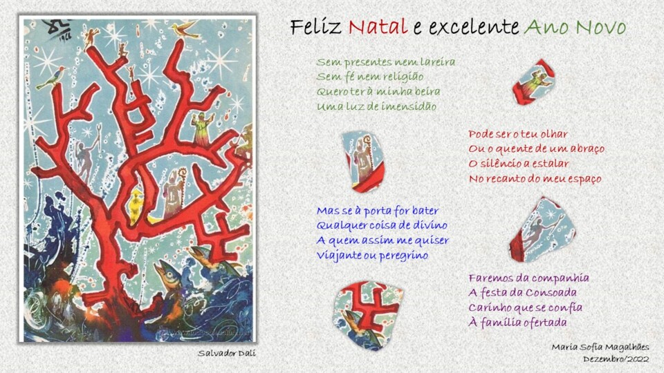 postal natal 2022.jpg
