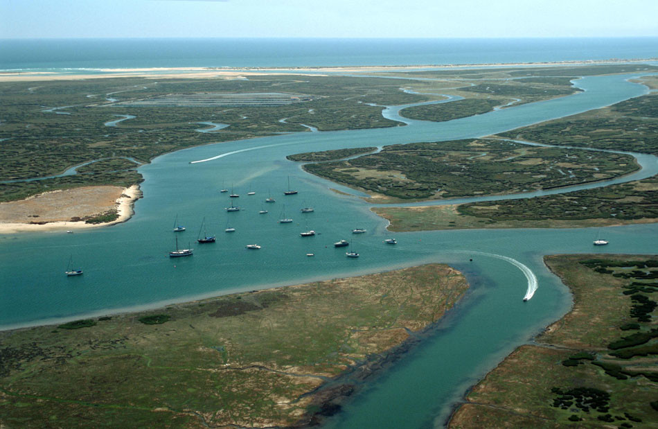 Parque-Natural-da-Ria-Formosa.jpg