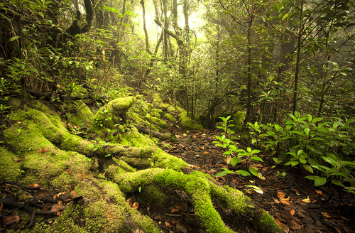 Screen Shot 2016-07-01 at 17.58.13.png