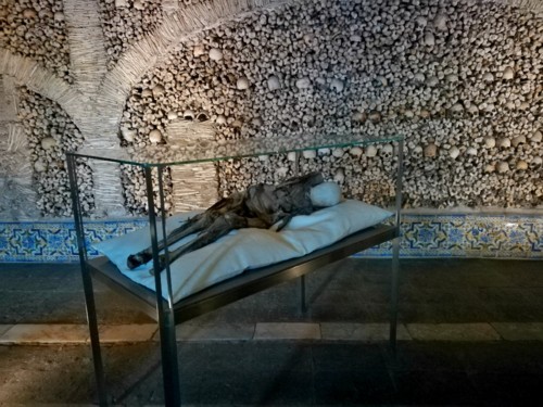 COPYRIGHT O RAPAZ DAS ILHAS