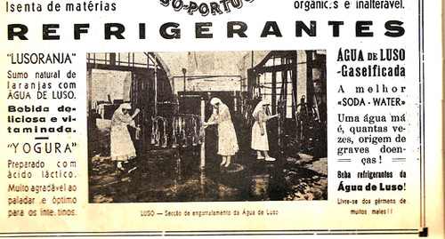 lusoranja39.jpg lusoranja39.jpg