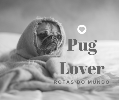 20180905_164810_0001.png 20180905_164810_0001.png