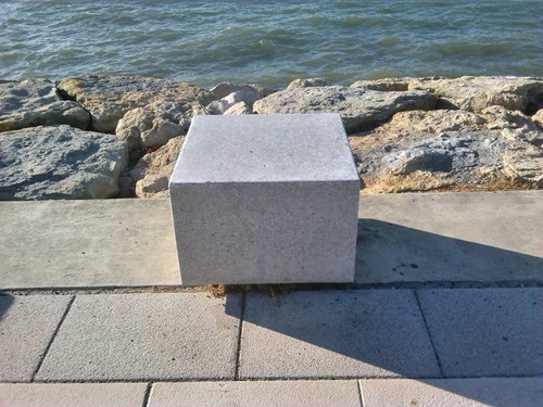 13680588_10208058995851290_3585688873193180576_n.j