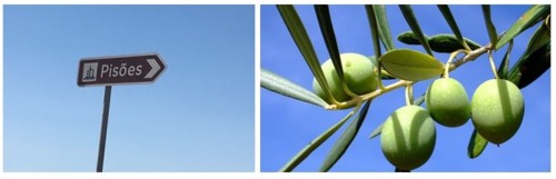 Pisões.jpg Pisões.jpg