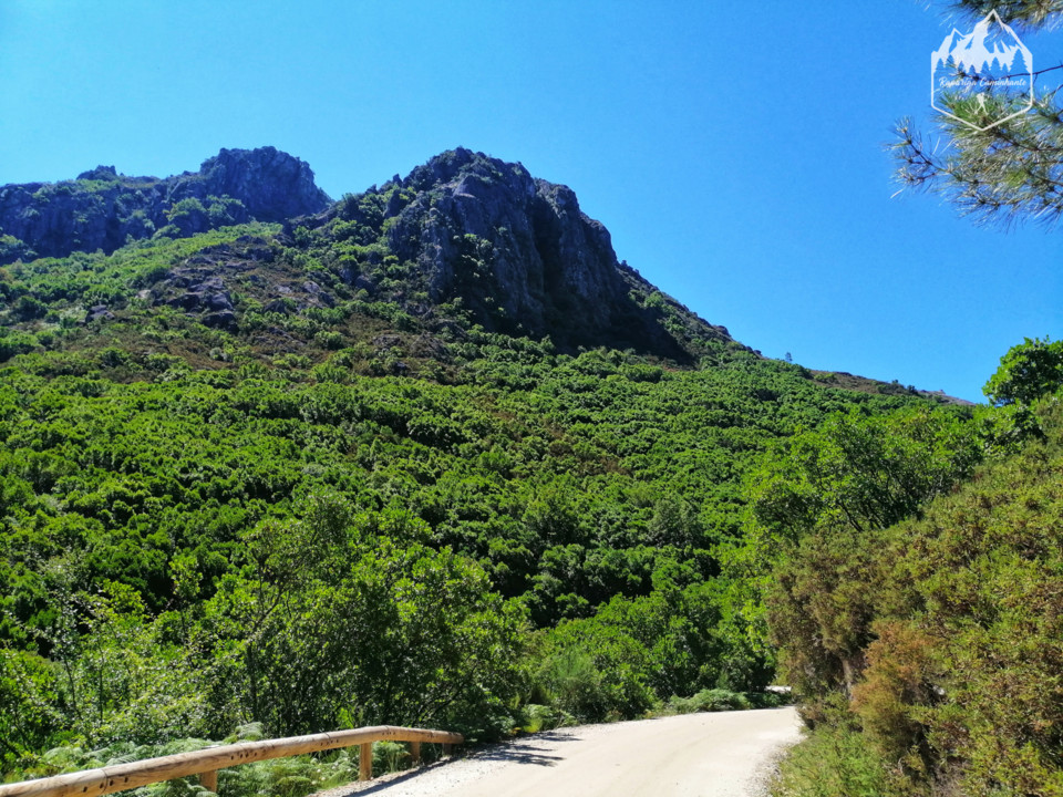 Photo_1598340846767.jpg Photo_1598340846767.jpg