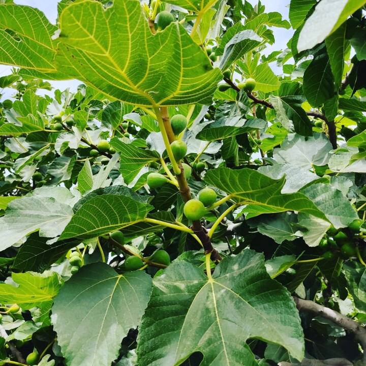 297495325_2379608545512226_9083557993102834794_n.j