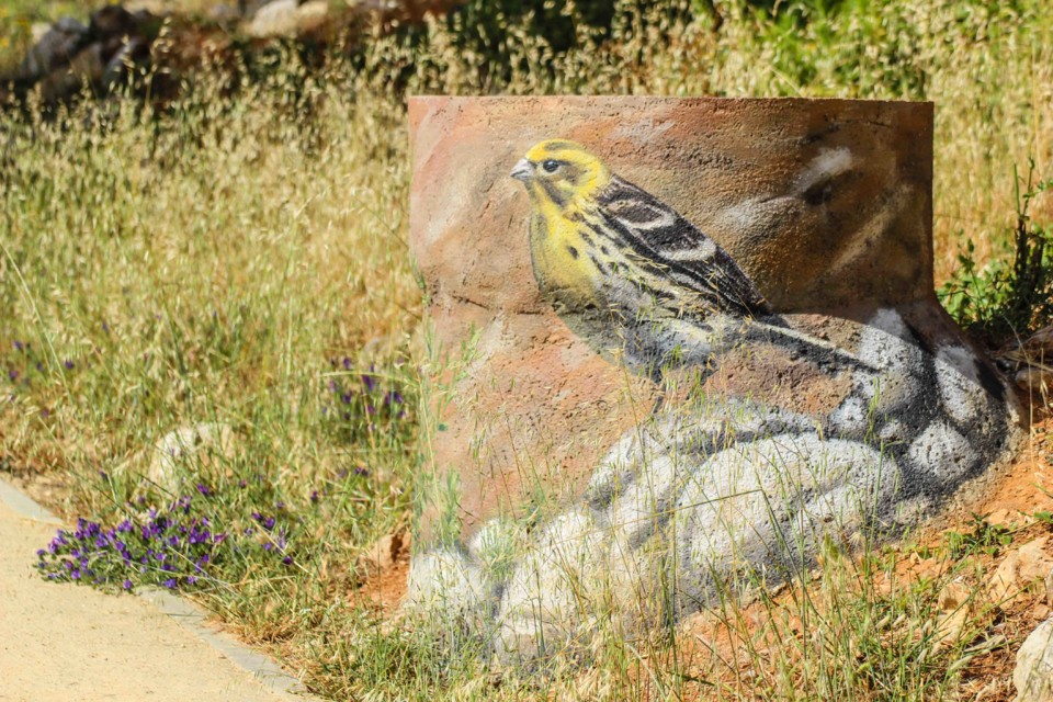 trilho das vinhas-62.jpg