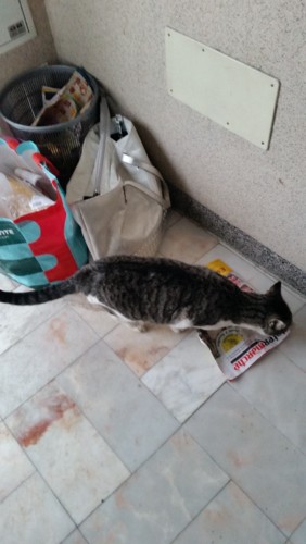 20181129_160711.jpg 20181129_160711.jpg