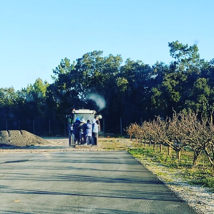 332985663_4350092378448369_2382445954386858306_n.j