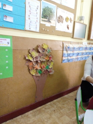 IMG_20181009_160905.jpg IMG_20181009_160905.jpg