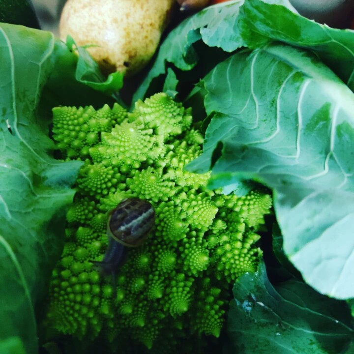 475760168_18459139894066958_578068435675564150_n.j