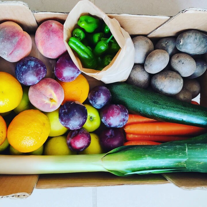 357497264_649454873878593_7637579810842800267_n.jp