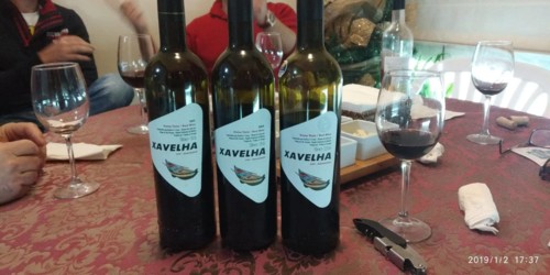 49380221_2247916675431236_6780080629535997952_o.jp