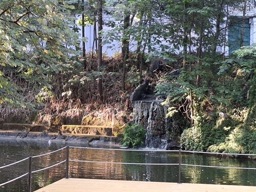 22a_Caminhada_Matinal (23).jpg