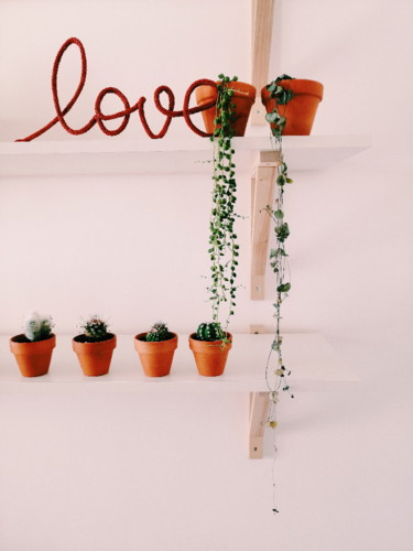 2019-01-05 01.10.53 1.jpg