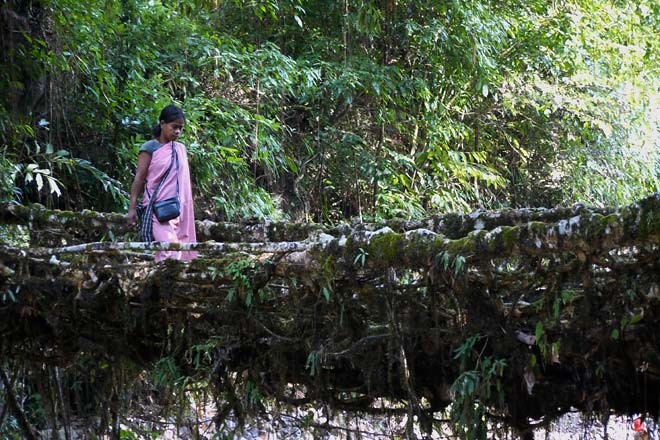 dia-ambiente 2011f.jpg dia-ambiente 2011f.jpg