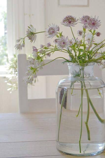 48398337_1916269988468864_8392673865150496768_n.jp