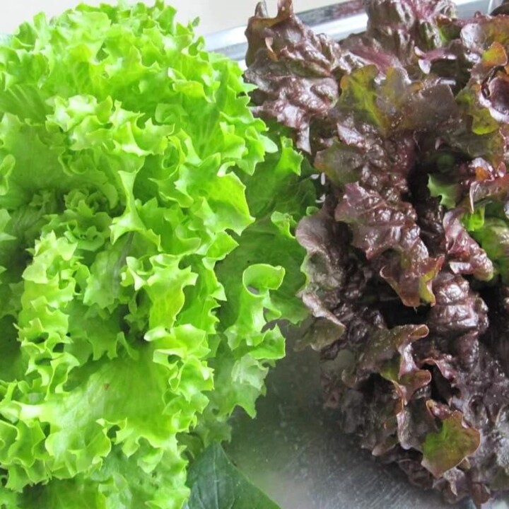 337045231_553231400245057_2406412272343755120_n.jp