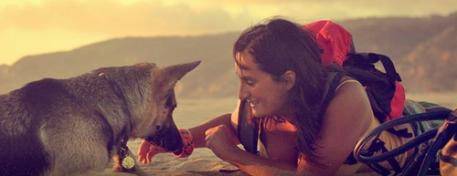 bizidog_2.png bizidog_2.png