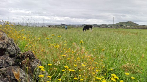 Foto: Direitos Reservados