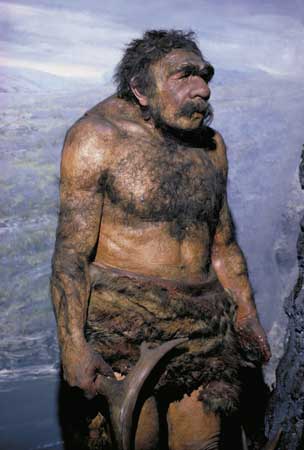 Homo Neanderthalensis
