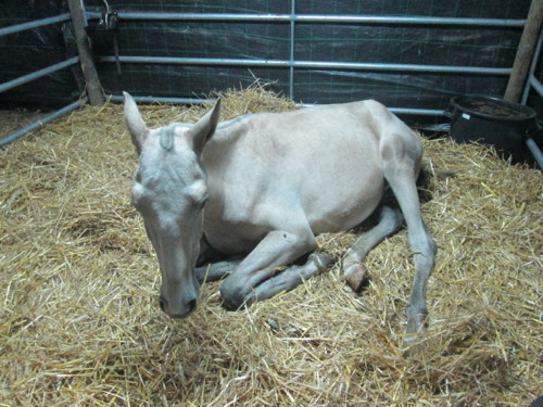 IMG_6323.JPG IMG_6323.JPG