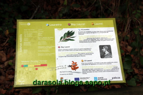 Passarelas_Rio_Mao_11.JPG Passarelas_Rio_Mao_11.JPG