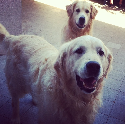 Captura de ecrã 2015-08-9, às 20.26.29.png