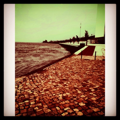 IMG_3717.JPG IMG_3717.JPG